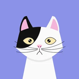 Kristy Glas avatar