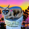 Dream Loaf by Sarah Zucker Logo